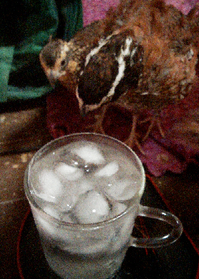 20150721(1)