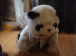 DSC03278.JPG