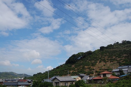 s-DSC_0392.jpg