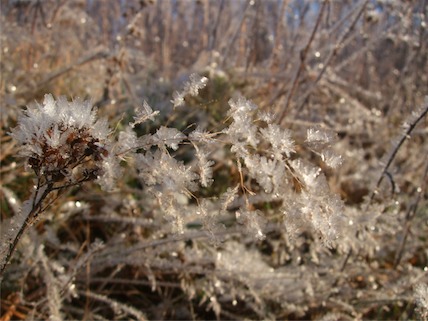 DSCF1874.JPG