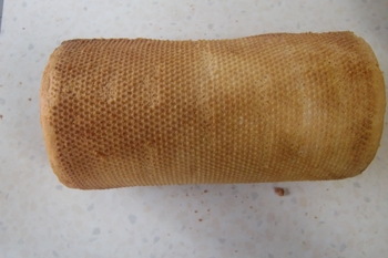 CIMG0176.JPG
