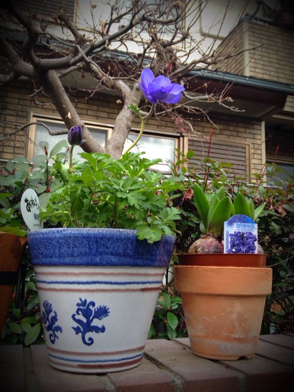 rblog-20141225201056-04.jpg