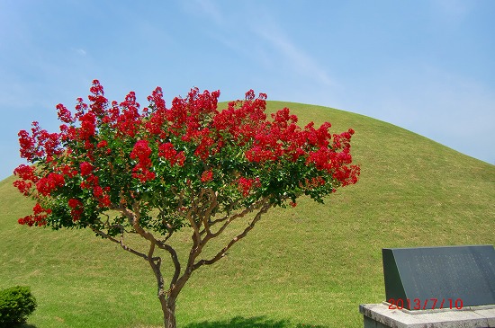 あらら、コリア、、、 143.jpg