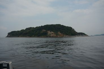 DSC00803.JPG