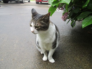 IMG_4402ss.jpg