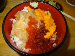Dsc03935.jpg