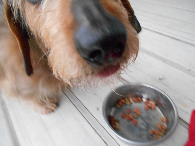 DSCN0422.JPG