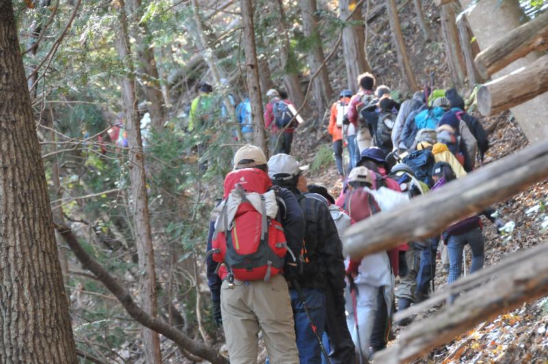 第12回醍醐山一斉登山（1）ダイジェスト | 醍醐山と下部（しもべ）温泉 - 楽天ブログ