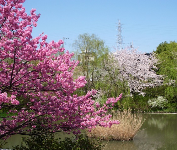 DSCN3824.JPG