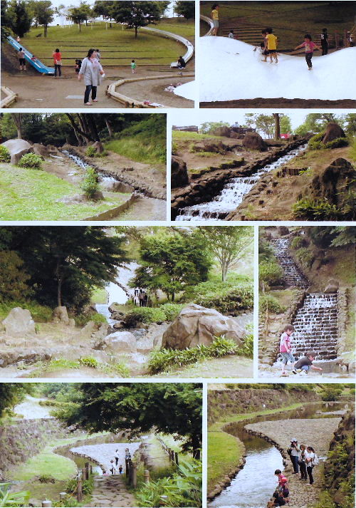 茅ヶ崎里山公園02