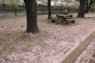 hodou