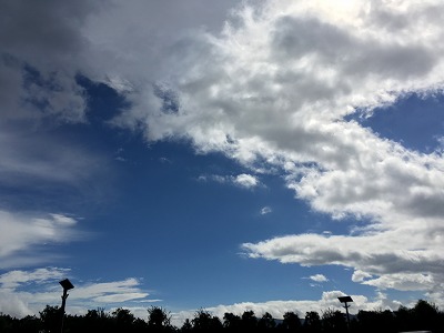IMG_6816.jpg