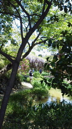 201304281146000.jpg