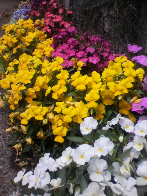 2011050711550000.jpg