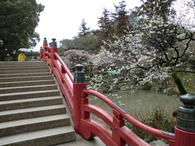 2012_0318_125121-CIMG0402.jpg
