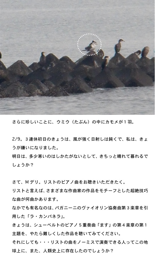 2013.02.09-5.jpg