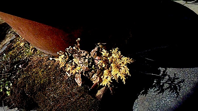 120303_131811.jpg