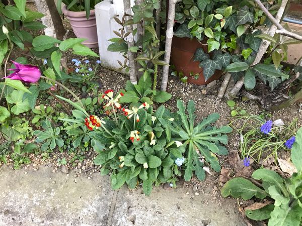 rblog-20180408181115-07.jpg