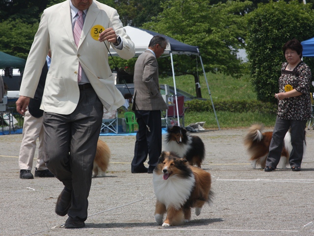 IMG_1809 - コピー.JPG