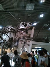 994851_489101731181020_298741714_n.jpg