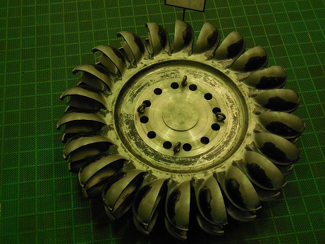 DSCN5744.JPG