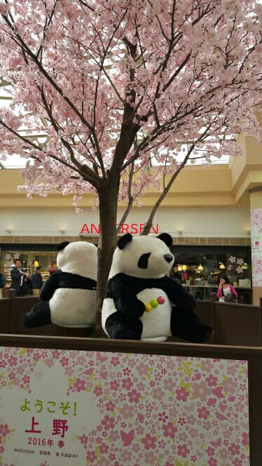 rblog-20160326215037-02.jpg