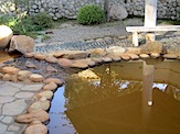 IMG_1920.JPG