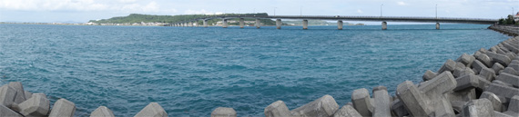 沖縄353.jpg