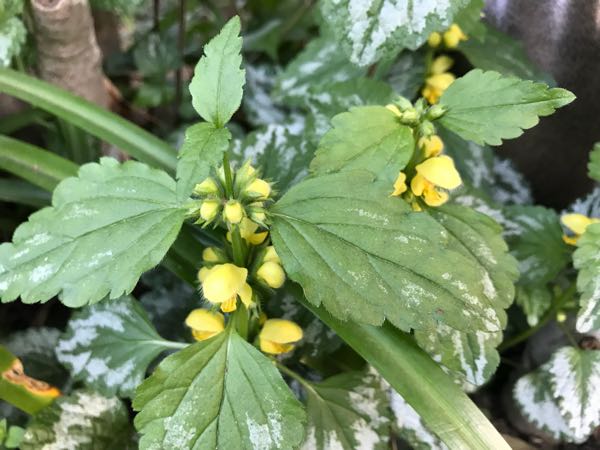 rblog-20180408181115-04.jpg