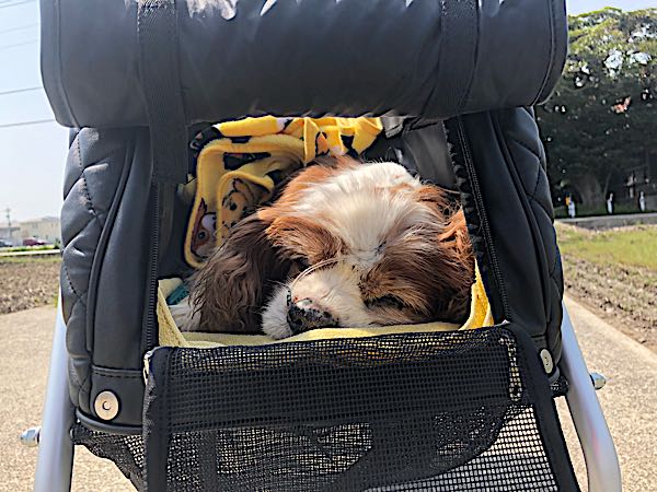 rblog-20180411190531-01.jpg
