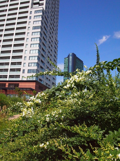 s-p2678.jpg