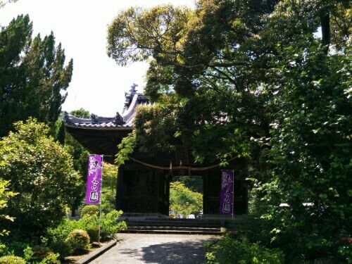 rblog-20170706115421-01.jpg