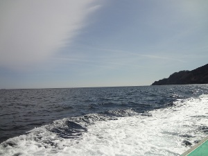 DSC02766.JPG
