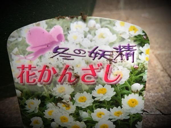 rblog-20161226172004-03.jpg