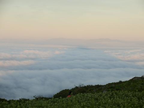 雲海の伊吹山.JPG