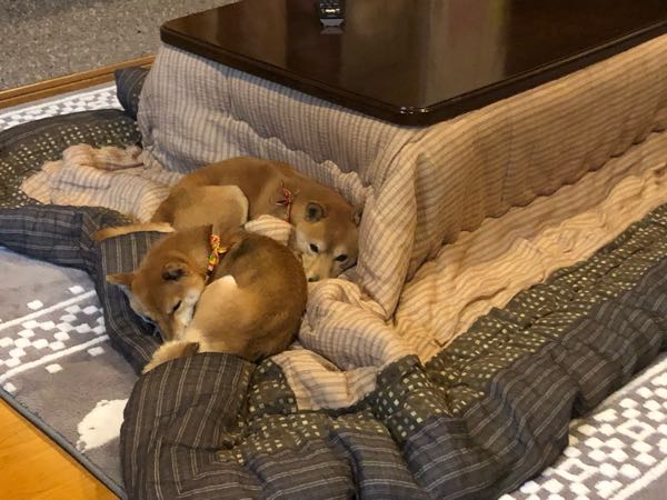 rblog-20190103113629-02.jpg