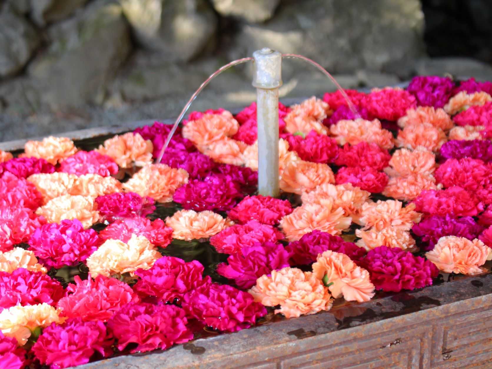 【宝登山神社】節分追儺祭 | 花のおもてなし長生館スタッフのブログ - 楽天ブログ