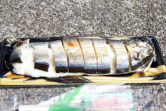 出羽島・牟岐アート展2016-07♪