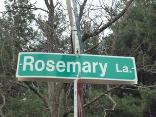 rosemary