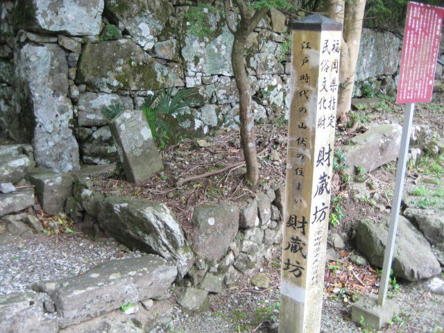 IMG_9556.JPG