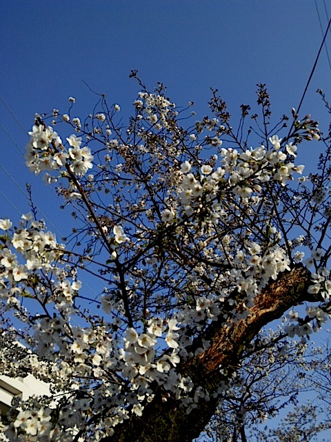 120408_164507.jpg