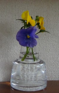 DSC00098.JPG