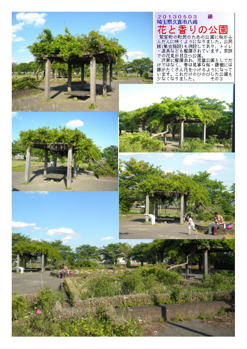 20130503hanatokaorinokouen3-fuzi.jpg