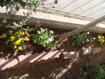 12.11 harunokadann  3.jpg