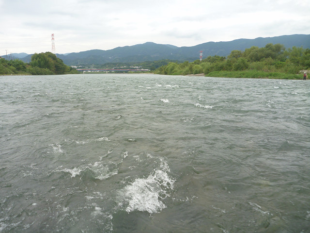 resize0014.jpg