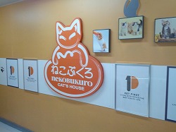 ねこぶくろ.jpg