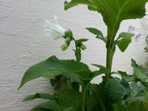 rblog-20140720002450-01.jpg