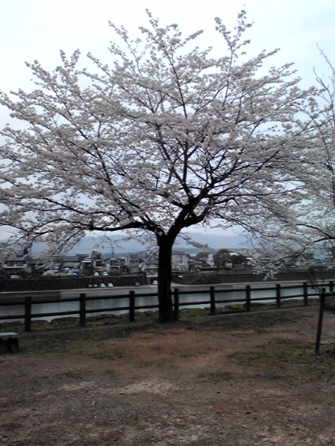 2013 03 24 011.JPG