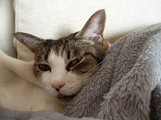 P1270930ss.jpg