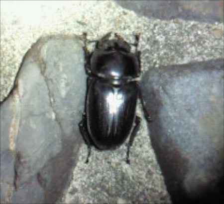 201208200334000 (1).jpg